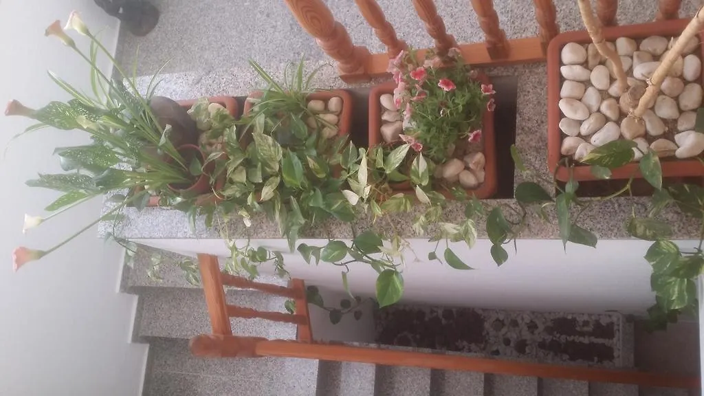 Guest house Hostal Diego'S El Pozo de los Frailes Spain