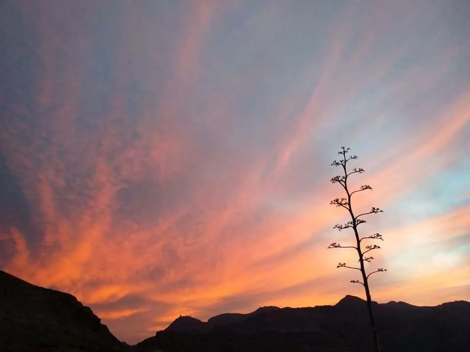 Hostal Diego'S El Pozo de los Frailes Guest house